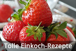 Einkoch-Rezepte