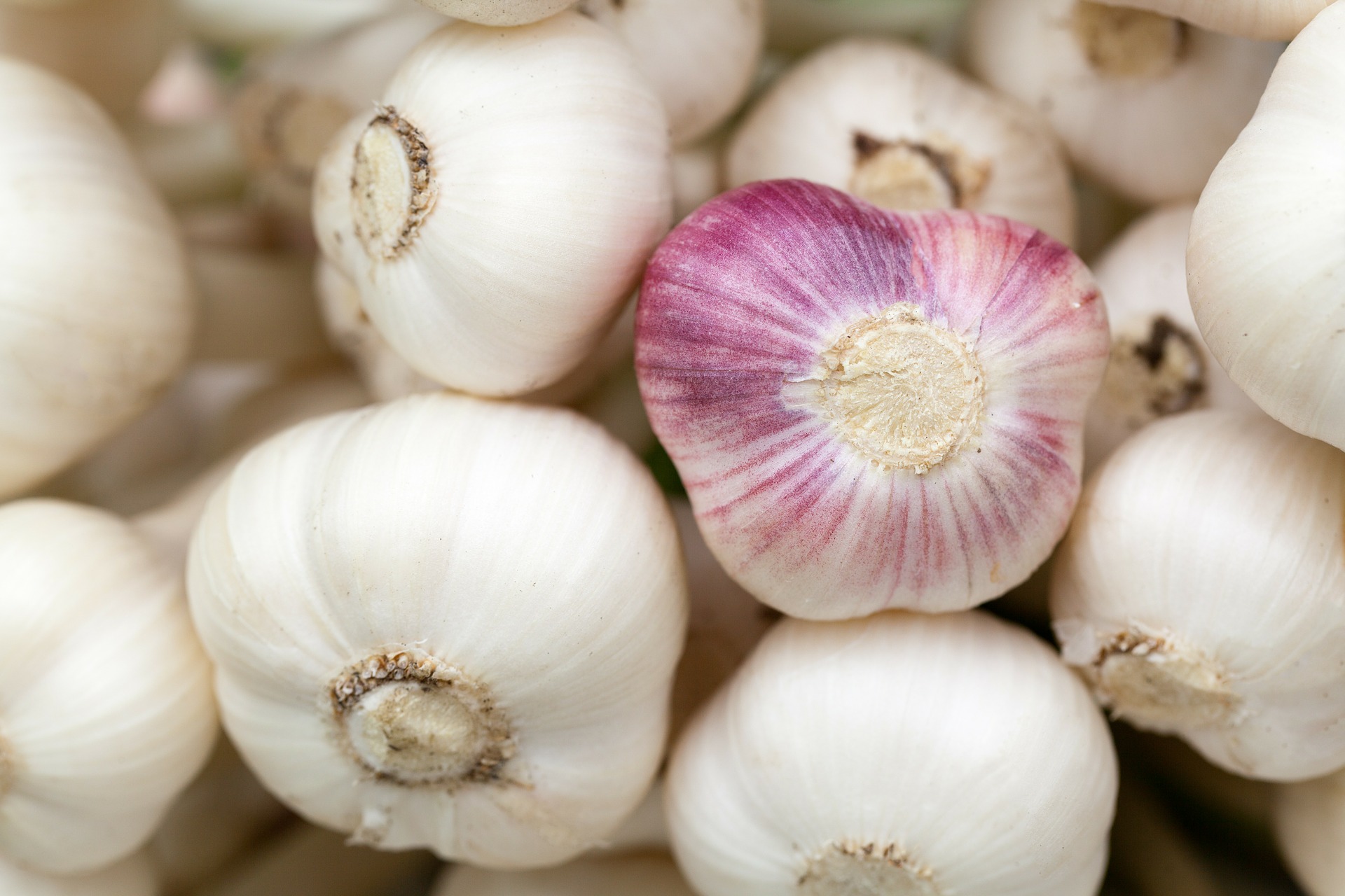 Knoblauch einlegen ins Glas