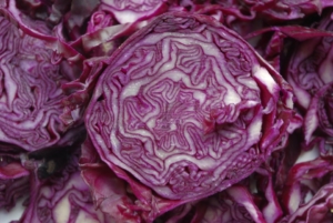 Wie lange Rotkohl einkochen muss