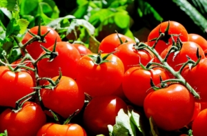 Wie lange Tomaten einkochen müssen