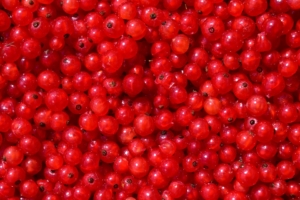 Wie lange Johannisbeeren einkochen müssen