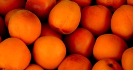 aprikosen einkochen anleitung