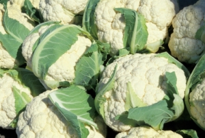 blumenkohl-einkochen-rezept