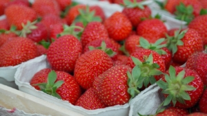 erdbeeren einkochen rezept