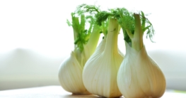 fenchel einkochen