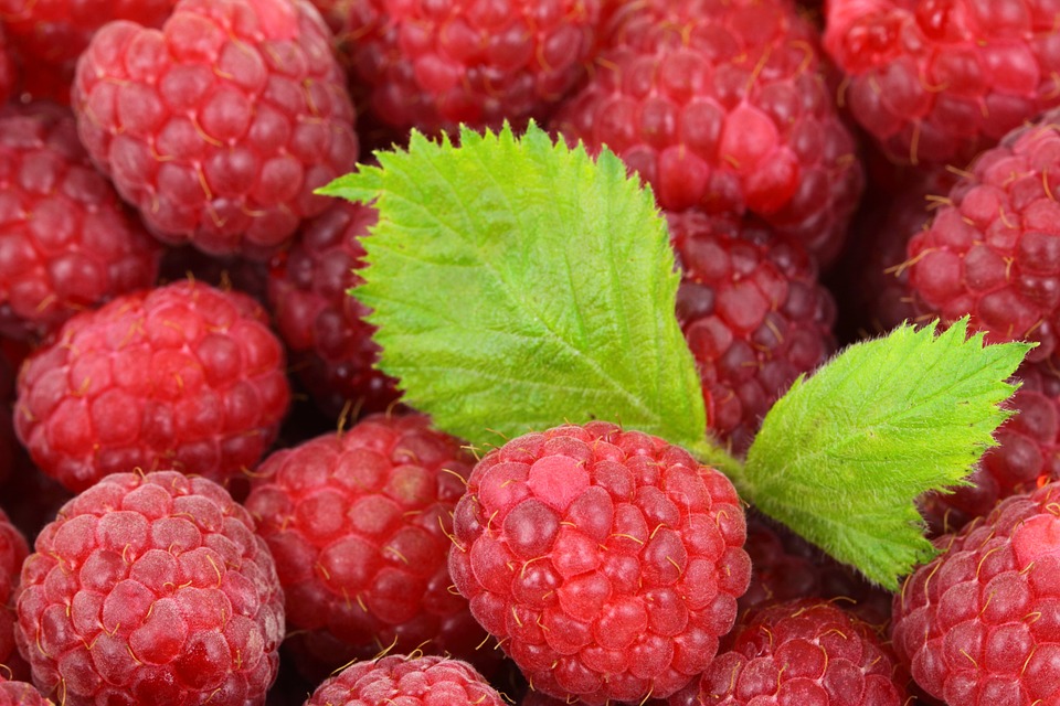 himbeeren einkochen