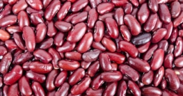 kidneybohnen einkochen