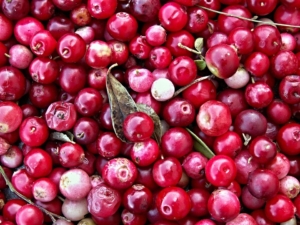 preiselbeeren einkochen anleitung