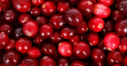 preiselbeeren einkochen rezept