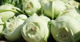kohlrabi einkochen
