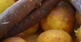 schwarzwurzeln einkochen