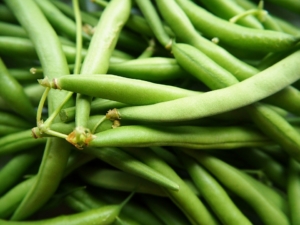 Brechbohnen einkochen Rezept