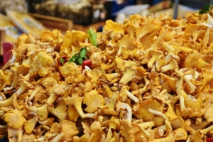 Pilze einkochen Rezept