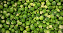 Rosenkohl einkochen