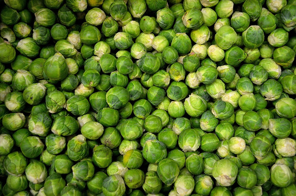 Rosenkohl einkochen