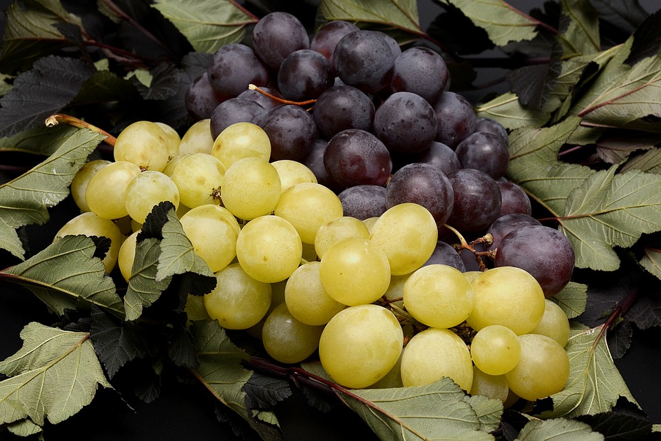 Weintrauben einkochen