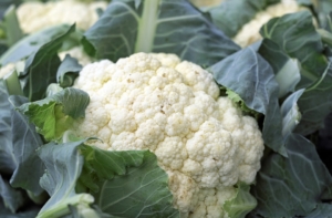 Blumenkohlsuppe einkochen Anleitung